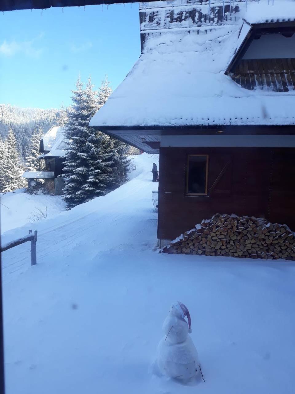 Holiday Home Elena Копаоник Екстер'єр фото